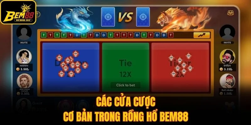 Các cửa cược cơ bản trong rồng hổ Bem88