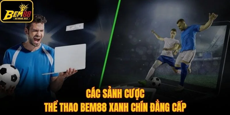Các sảnh cược thể thao Bem88 xanh chín đẳng cấp
